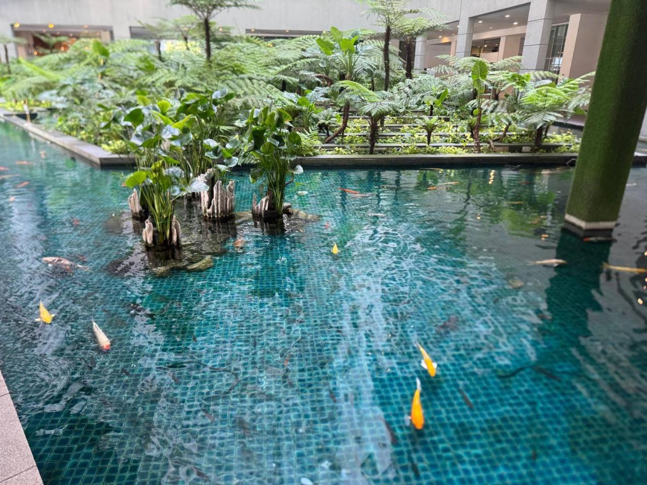 Elevated Horizons & Infinity Skypool Asrama Kuala Lumpur