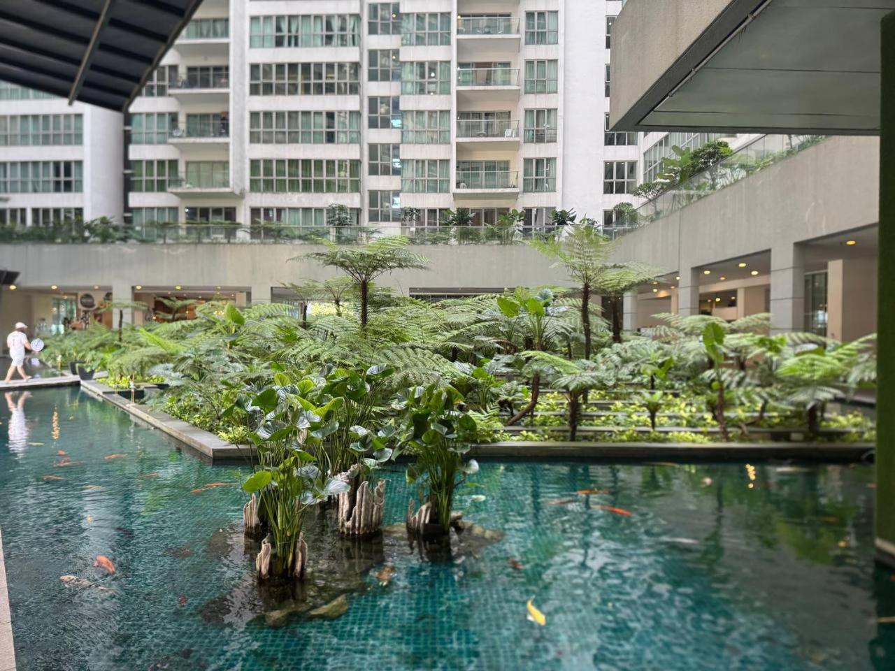 Elevated Horizons & Infinity Skypool *