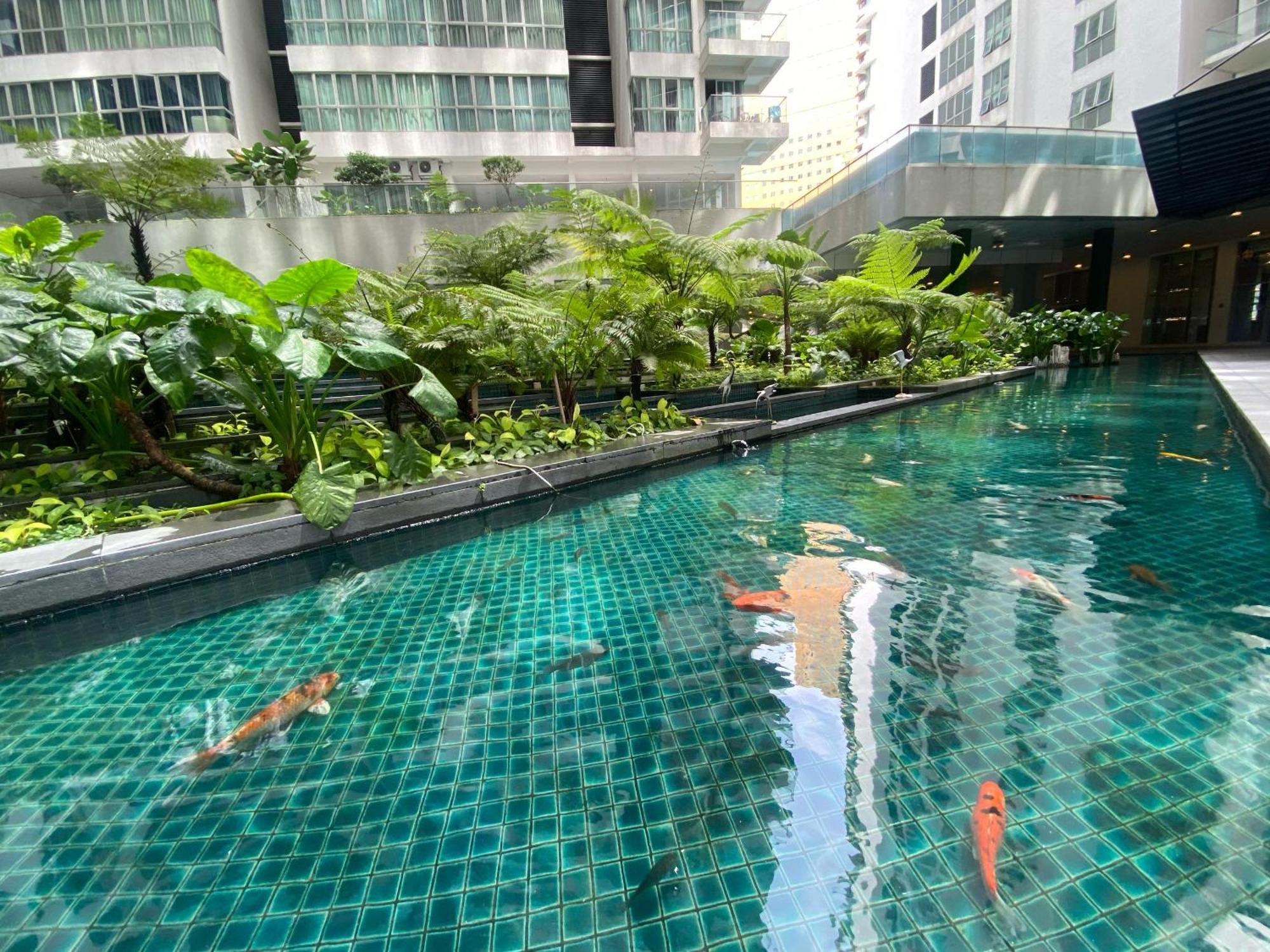 Asrama Elevated Horizons & Infinity Skypool *